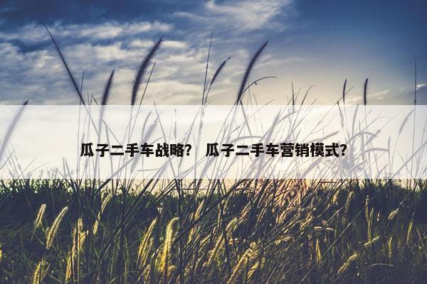 瓜子二手车战略？ 瓜子二手车营销模式？