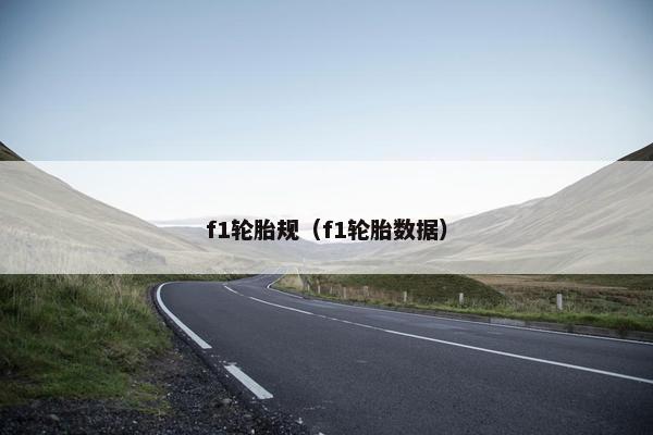 f1轮胎规（f1轮胎数据）