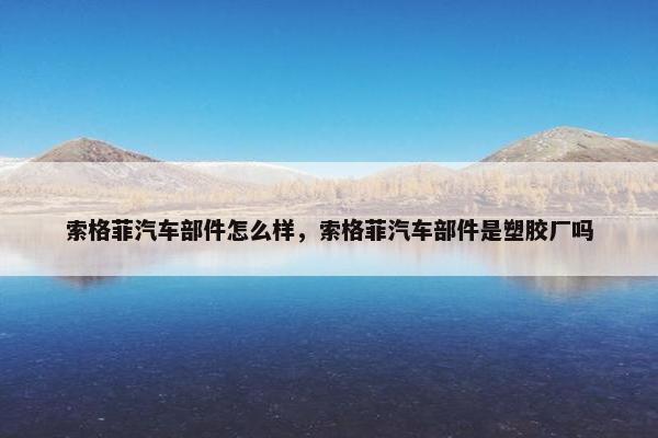 索格菲汽车部件怎么样，索格菲汽车部件是塑胶厂吗