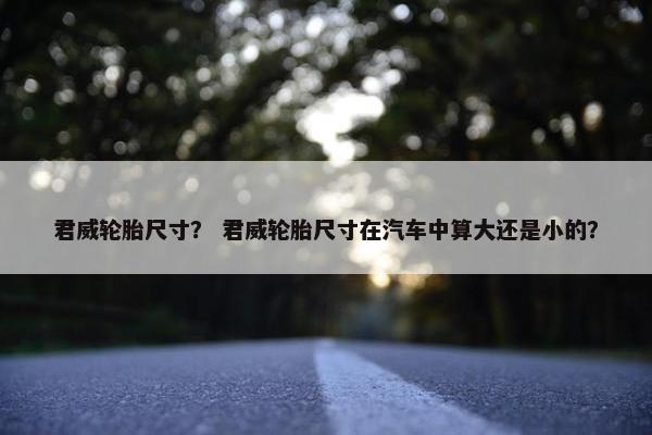 君威轮胎尺寸？ 君威轮胎尺寸在汽车中算大还是小的？