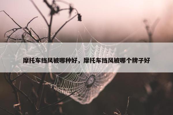 摩托车挡风被哪种好，摩托车挡风被哪个牌子好