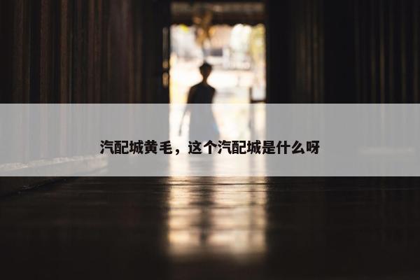 汽配城黄毛，这个汽配城是什么呀