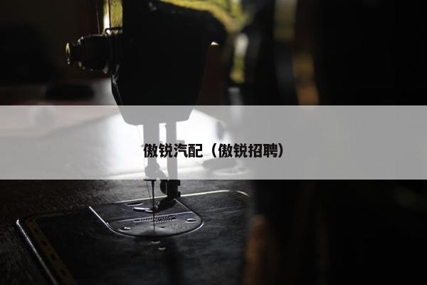傲锐汽配（傲锐招聘）
