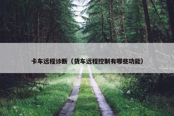 卡车远程诊断（货车远程控制有哪些功能）