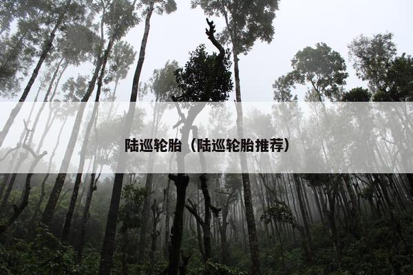 陆巡轮胎（陆巡轮胎推荐）