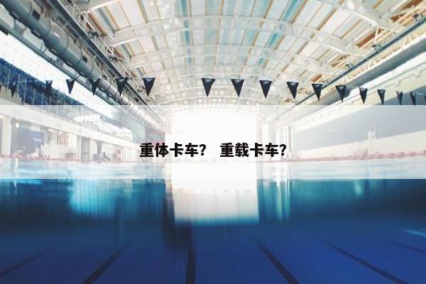重体卡车？ 重载卡车？