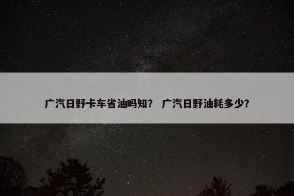 广汽日野卡车省油吗知？ 广汽日野油耗多少？