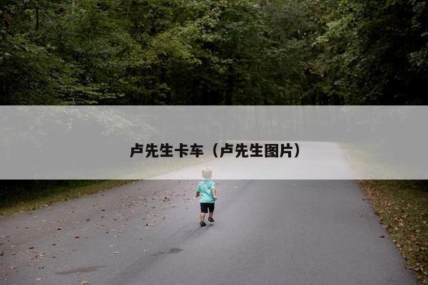 卢先生卡车（卢先生图片）