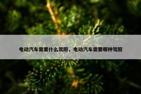 电动汽车需要什么驾照，电动汽车需要哪种驾照