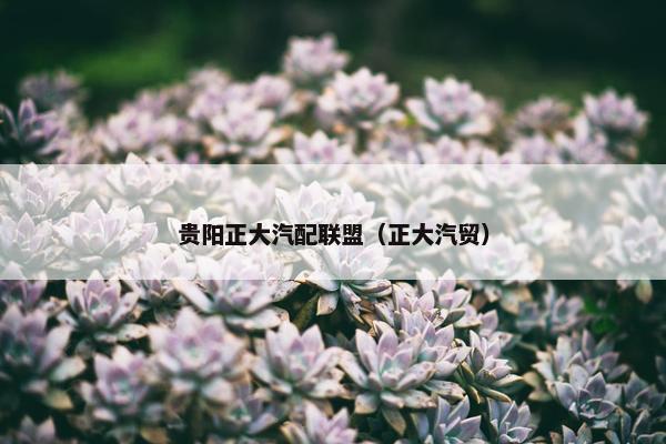 贵阳正大汽配联盟（正大汽贸）
