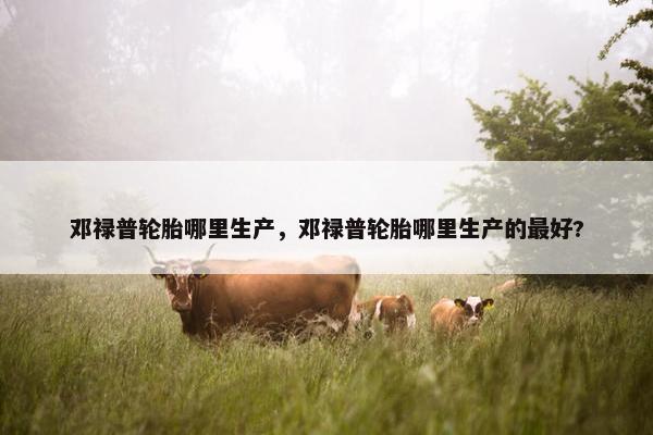 邓禄普轮胎哪里生产，邓禄普轮胎哪里生产的最好?