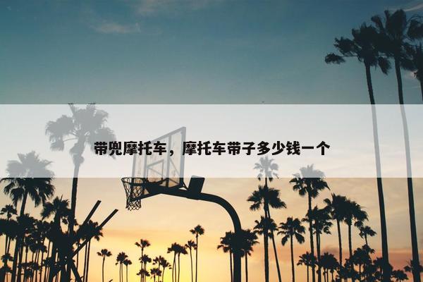 带兜摩托车，摩托车带子多少钱一个