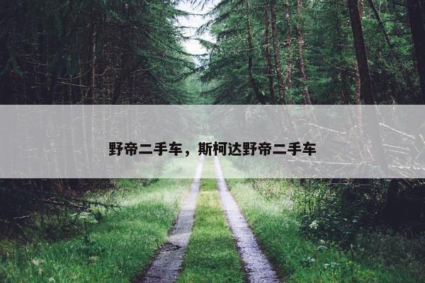 野帝二手车，斯柯达野帝二手车