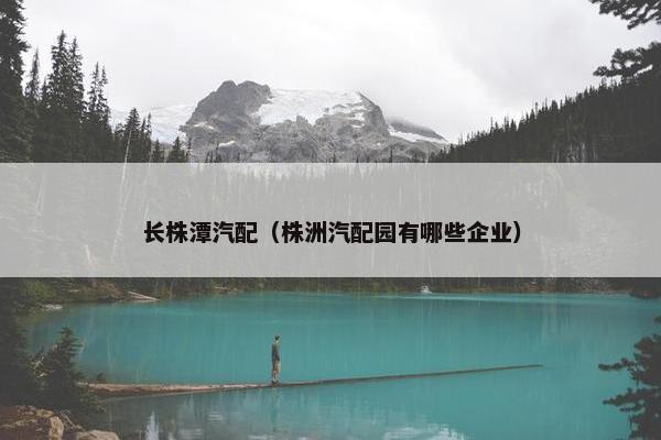 长株潭汽配（株洲汽配园有哪些企业）