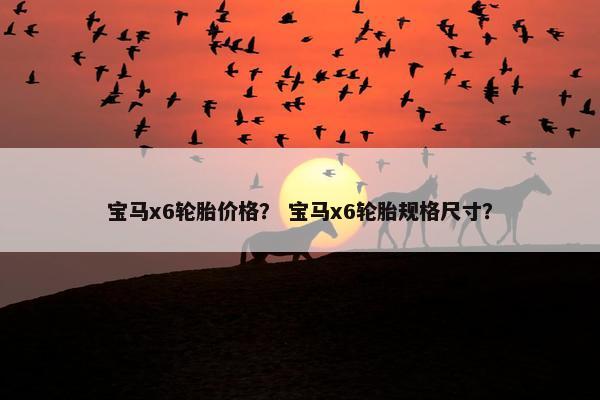 宝马x6轮胎价格？ 宝马x6轮胎规格尺寸？