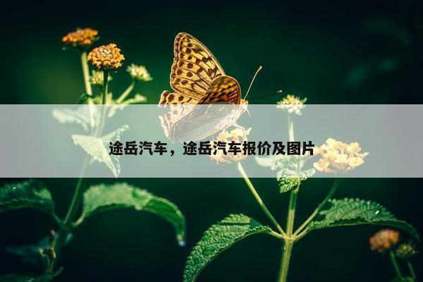 途岳汽车，途岳汽车报价及图片