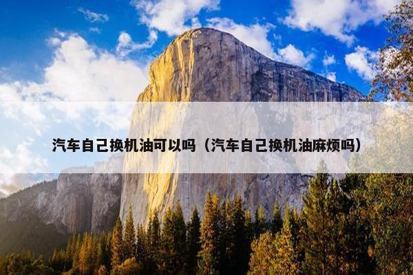 汽车自己换机油可以吗（汽车自己换机油麻烦吗）