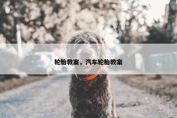 轮胎教案，汽车轮胎教案