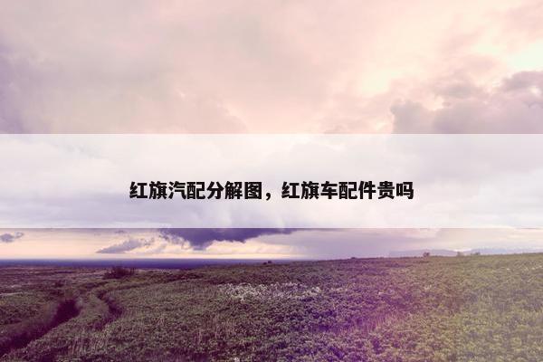 红旗汽配分解图，红旗车配件贵吗