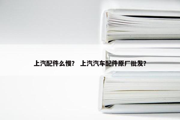 上汽配件么慢？ 上汽汽车配件原厂批发？