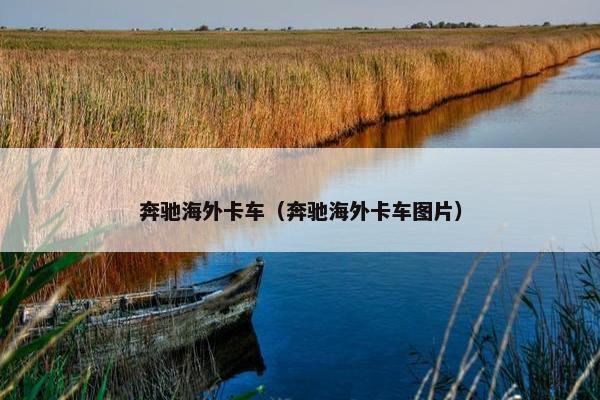奔驰海外卡车（奔驰海外卡车图片）