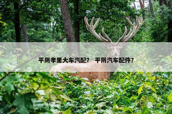 平阴孝里大车汽配？ 平阴汽车配件？