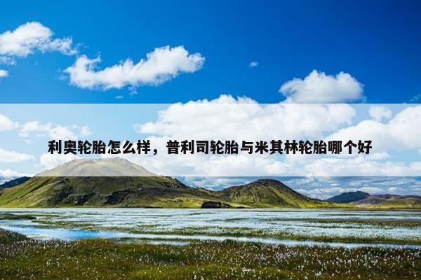 利奥轮胎怎么样，普利司轮胎与米其林轮胎哪个好