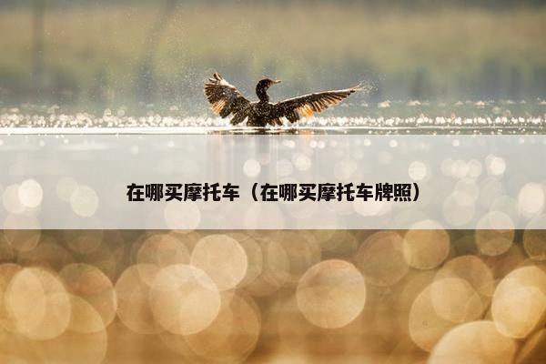 在哪买摩托车（在哪买摩托车牌照）