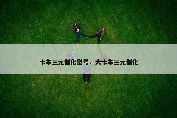 卡车三元催化型号，大卡车三元催化