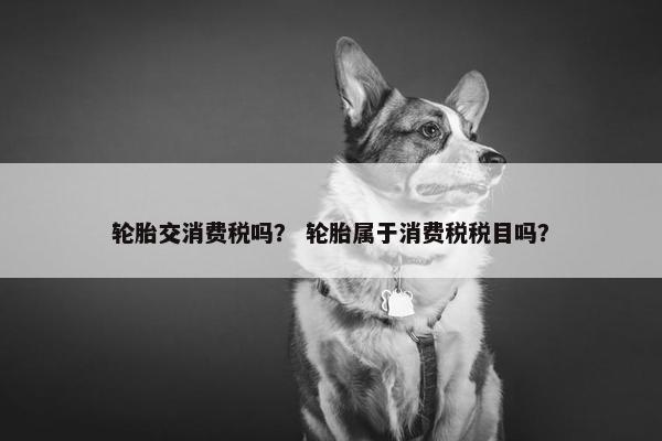 轮胎交消费税吗？ 轮胎属于消费税税目吗？