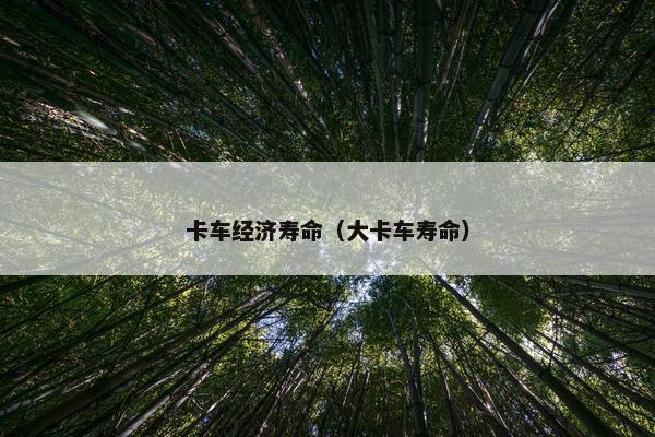 卡车经济寿命（大卡车寿命）