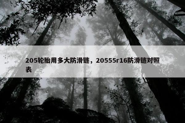 205轮胎用多大防滑链，20555r16防滑链对照表
