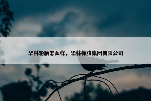 华林轮胎怎么样，华林橡胶集团有限公司