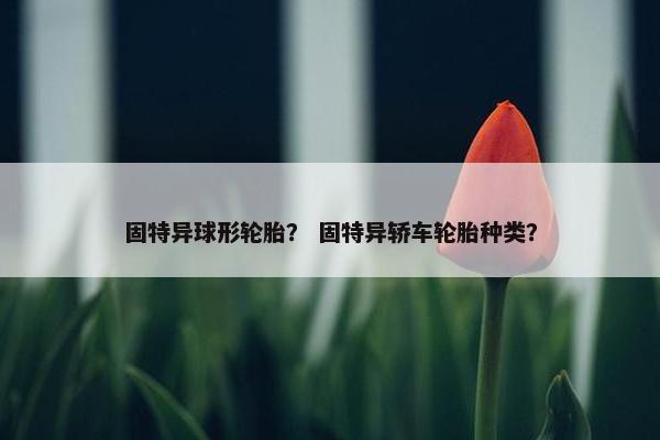 固特异球形轮胎？ 固特异轿车轮胎种类？