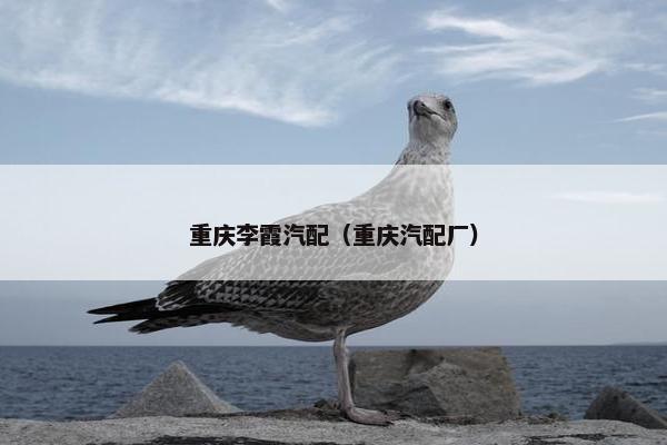 重庆李霞汽配（重庆汽配厂）
