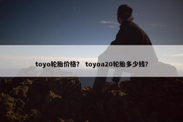 toyo轮胎价格？ toyoa20轮胎多少钱？