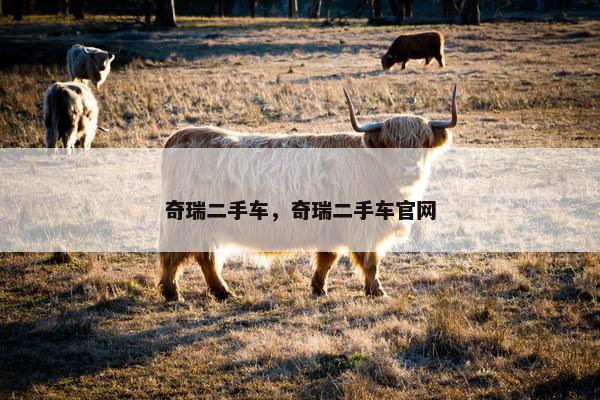 奇瑞二手车，奇瑞二手车官网