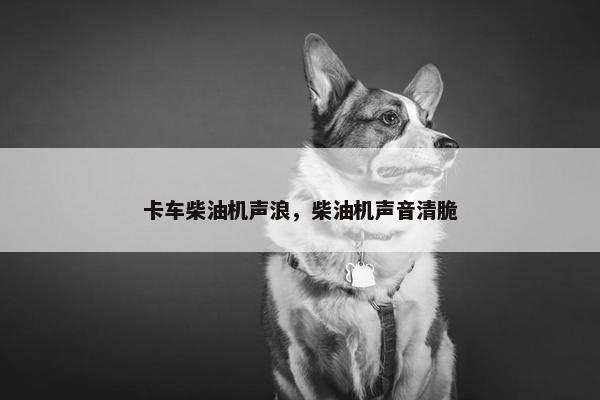 卡车柴油机声浪，柴油机声音清脆