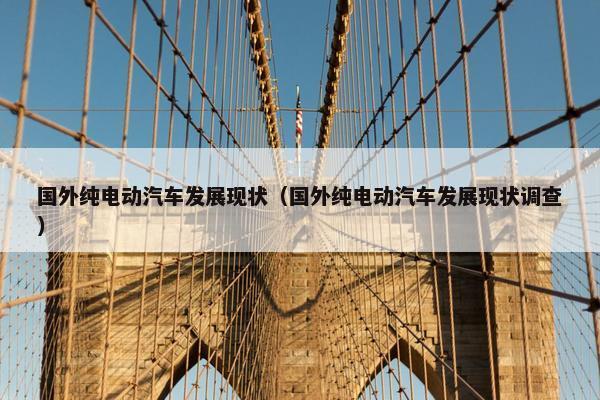 国外纯电动汽车发展现状（国外纯电动汽车发展现状调查）