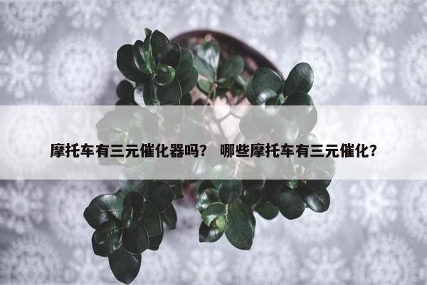 摩托车有三元催化器吗？ 哪些摩托车有三元催化？