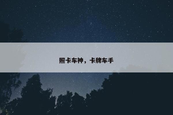 照卡车神，卡牌车手