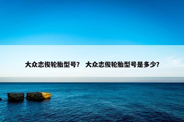 大众志俊轮胎型号？ 大众志俊轮胎型号是多少？