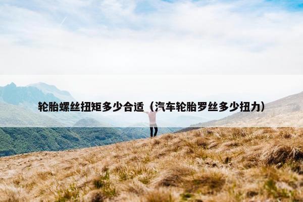 轮胎螺丝扭矩多少合适（汽车轮胎罗丝多少扭力）