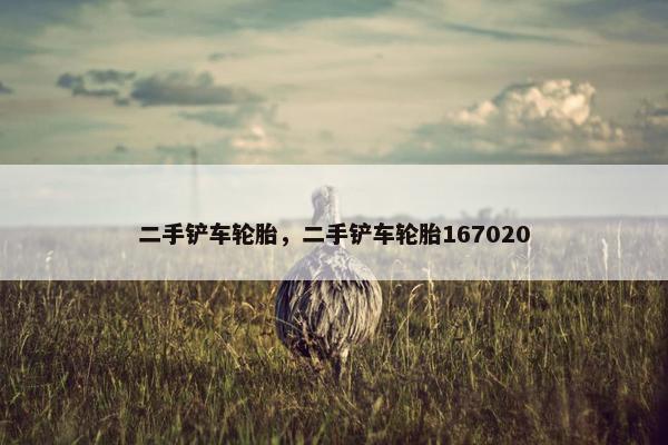 二手铲车轮胎，二手铲车轮胎167020