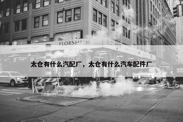 太仓有什么汽配厂，太仓有什么汽车配件厂