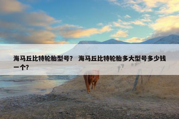 海马丘比特轮胎型号？ 海马丘比特轮胎多大型号多少钱一个？