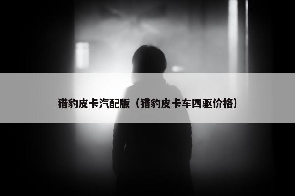 猎豹皮卡汽配版（猎豹皮卡车四驱价格）
