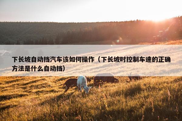 下长坡自动挡汽车该如何操作（下长坡时控制车速的正确方法是什么自动挡）