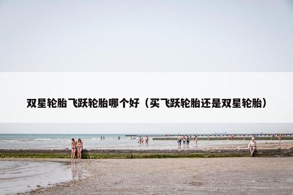双星轮胎飞跃轮胎哪个好（买飞跃轮胎还是双星轮胎）