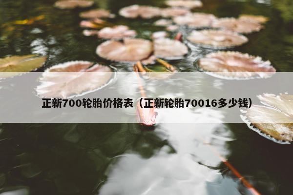 正新700轮胎价格表（正新轮胎70016多少钱）